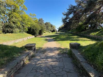 Picture 26